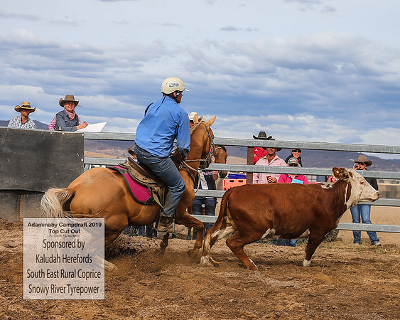AdaminabyCampdraft2019_1765