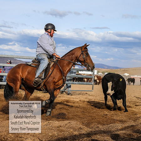 AdaminabyCampdraft2019_2709