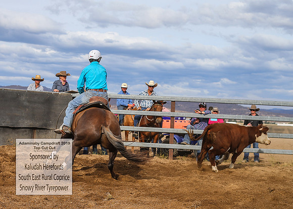 AdaminabyCampdraft2019_2178