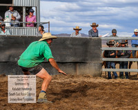 AdaminabyCampdraft2019_2084