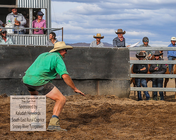 AdaminabyCampdraft2019_2084