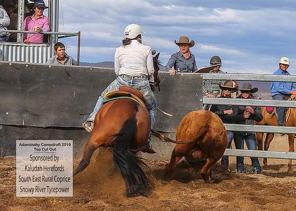 AdaminabyCampdraft2019_2161