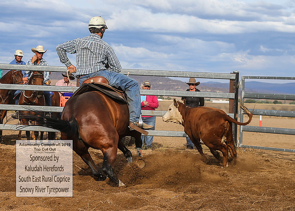 AdaminabyCampdraft2019_2365