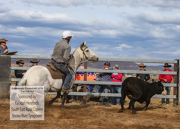 AdaminabyCampdraft2019_2192