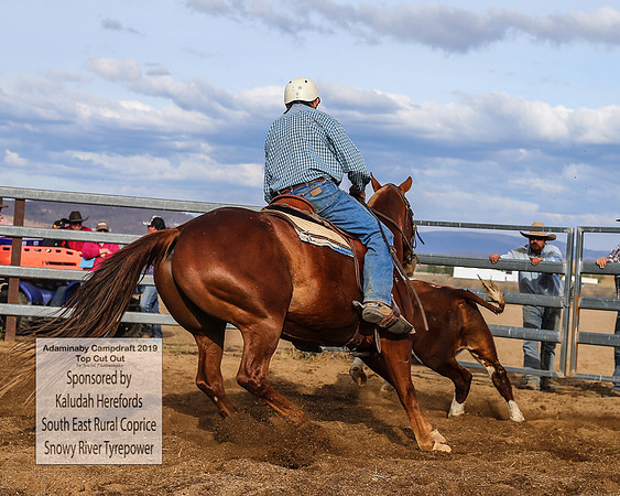 AdaminabyCampdraft2019_2572