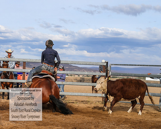 AdaminabyCampdraft2019_2632