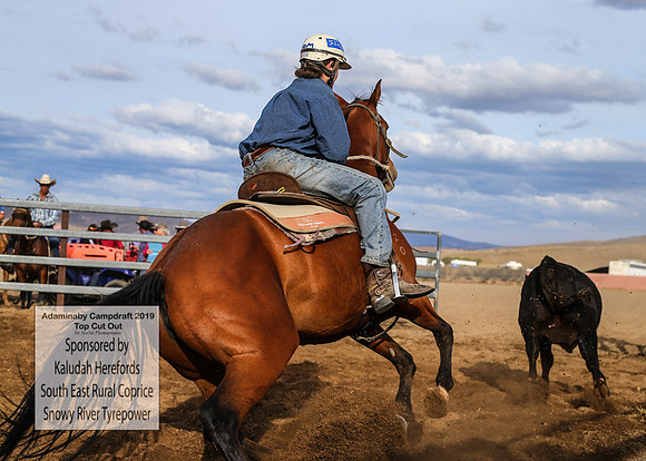 AdaminabyCampdraft2019_2461