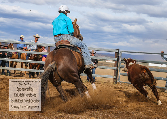 AdaminabyCampdraft2019_2172