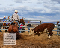 AdaminabyCampdraft2019_1834