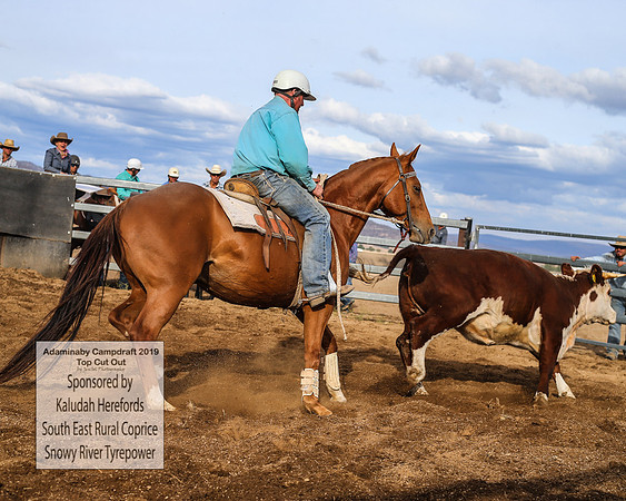 AdaminabyCampdraft2019_2550