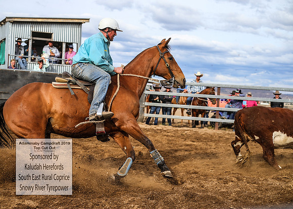 AdaminabyCampdraft2019_2089