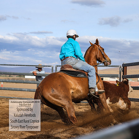 AdaminabyCampdraft2019_2710