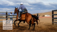 AdaminabyCampdraft2019_1904