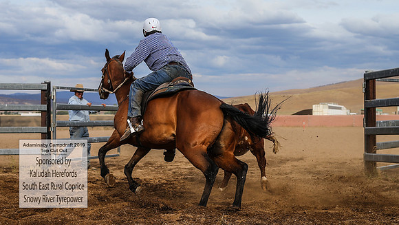 AdaminabyCampdraft2019_1904
