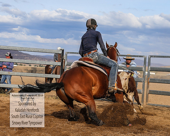 AdaminabyCampdraft2019_2638