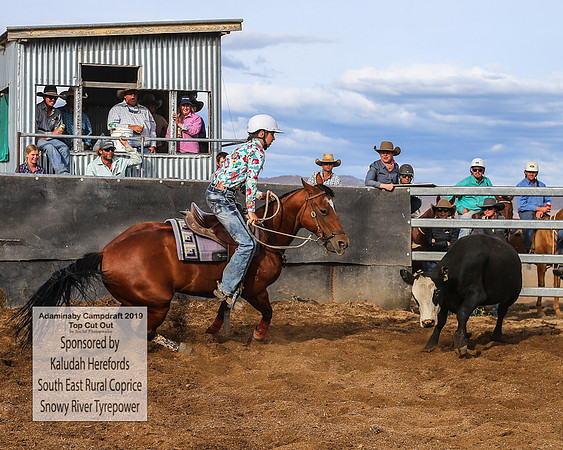 AdaminabyCampdraft2019_2535