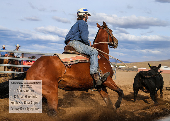 AdaminabyCampdraft2019_2467