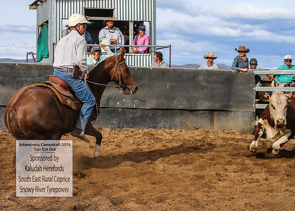 AdaminabyCampdraft2019_2426
