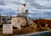 AdaminabyCampdraft2019_1982
