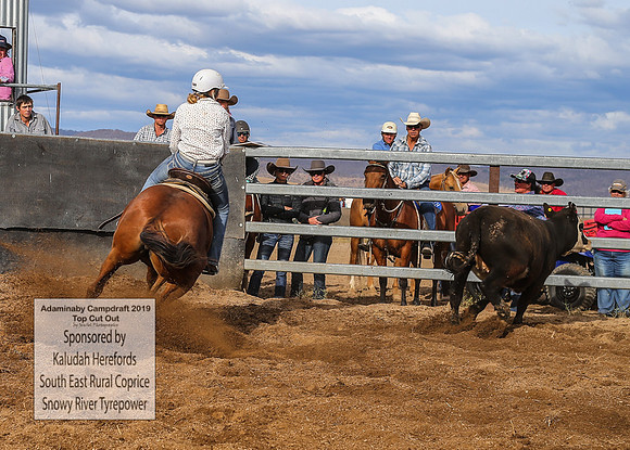 AdaminabyCampdraft2019_2254
