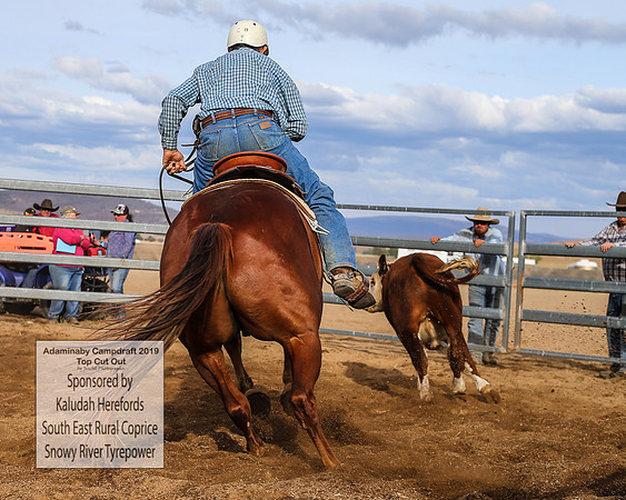 AdaminabyCampdraft2019_2591