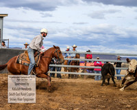 AdaminabyCampdraft2019_1809