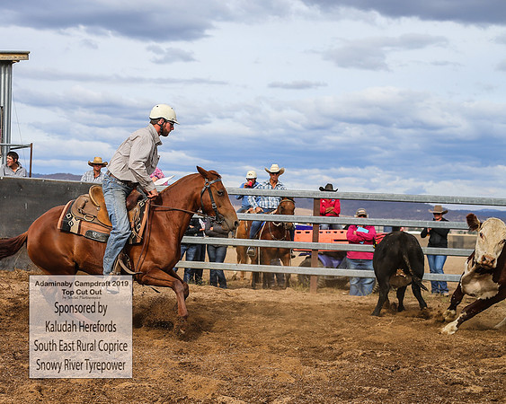 AdaminabyCampdraft2019_1809