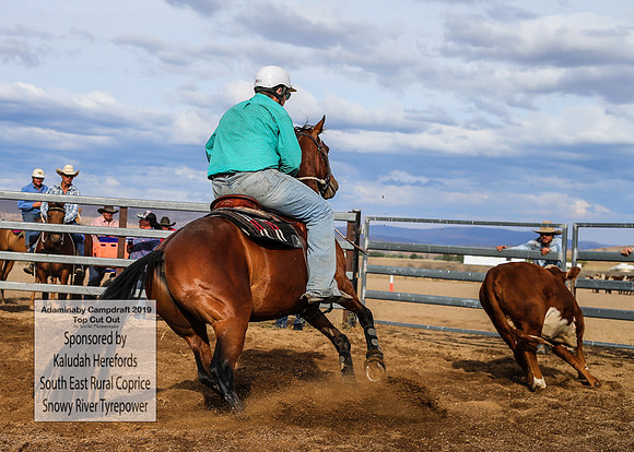 AdaminabyCampdraft2019_2278