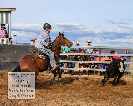 AdaminabyCampdraft2019_2668