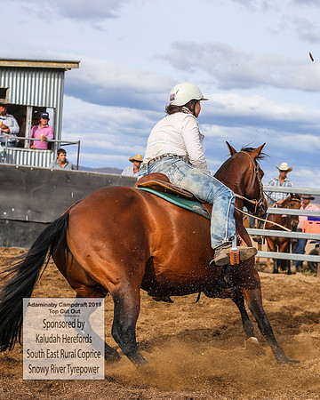 AdaminabyCampdraft2019_2135