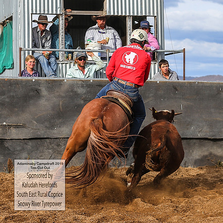 AdaminabyCampdraft2019_2342