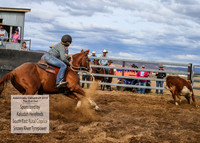 AdaminabyCampdraft2019_2005