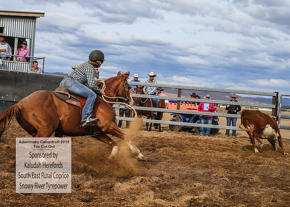 AdaminabyCampdraft2019_2005