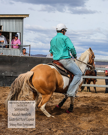 AdaminabyCampdraft2019_1711