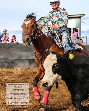 AdaminabyCampdraft2019_2546