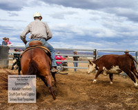 AdaminabyCampdraft2019_1811