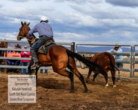 AdaminabyCampdraft2019_1883