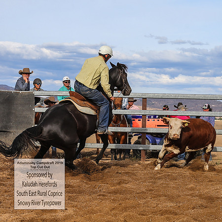AdaminabyCampdraft2019_2765