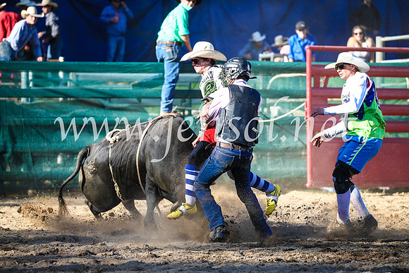 CoomaRodeo2017_2667