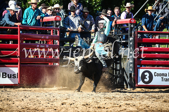 CoomaRodeo2017_2377