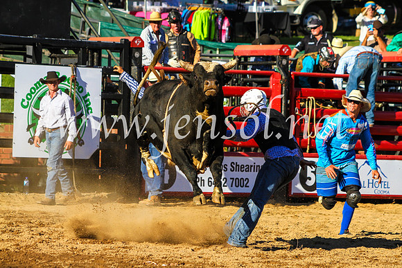 CoomaRodeo2017_9344