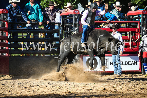 CoomaRodeo2017_2640