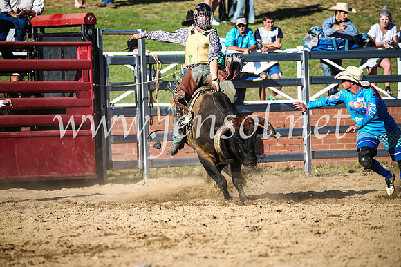 CoomaRodeo2017_2587