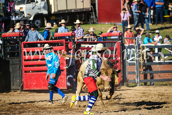 CoomaRodeo2017_2888