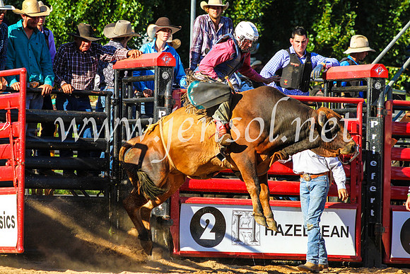 CoomaRodeo2017_9260