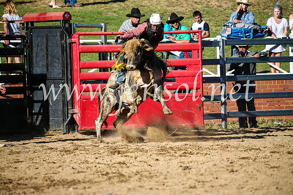 CoomaRodeo2017_2604