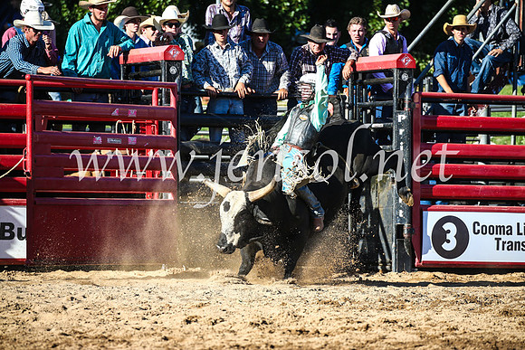 CoomaRodeo2017_2376