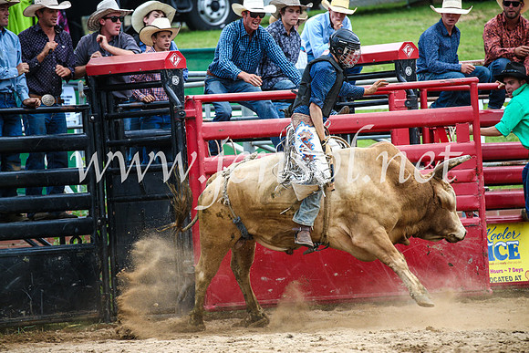 CoomaRodeo2017_1792