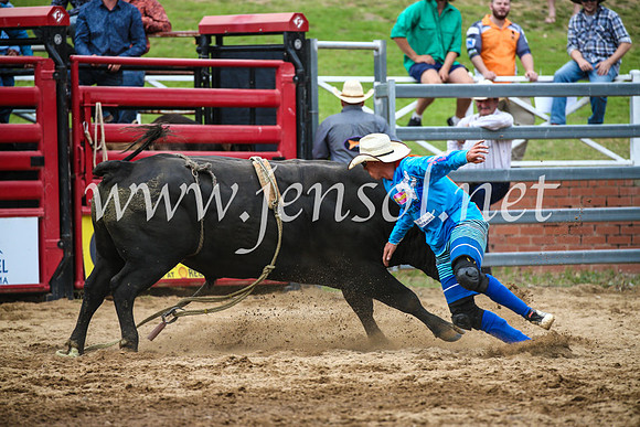 CoomaRodeo2017_1727