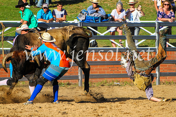 CoomaRodeo2017_9303